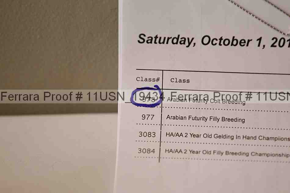 Proof 11usn_19434