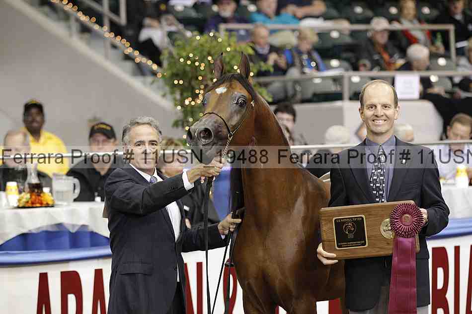 Proof 11usn_19488