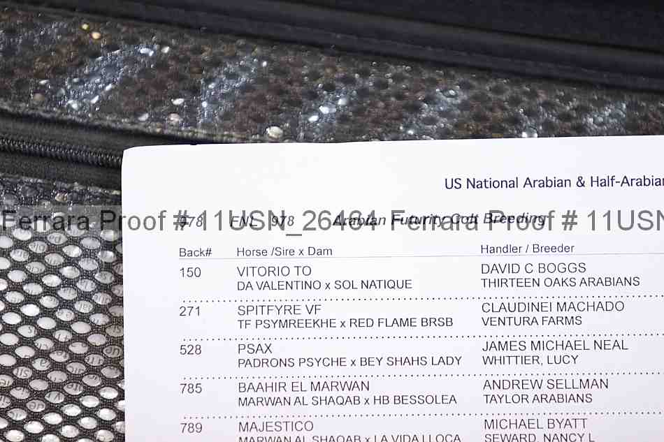 Proof 11usn_26464