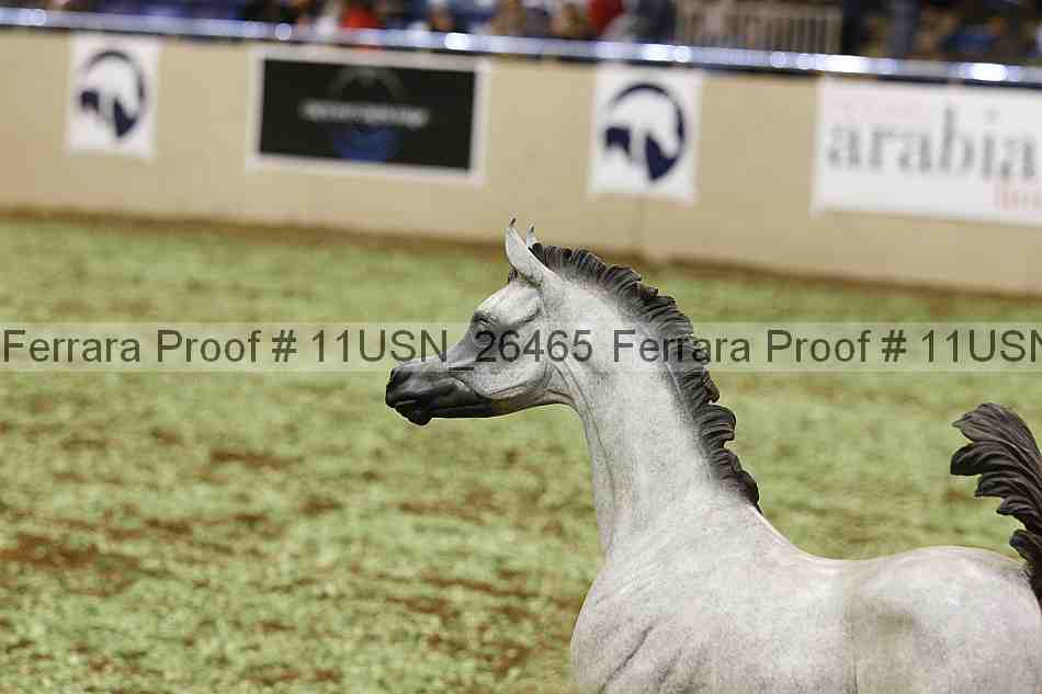 Proof 11usn_26465