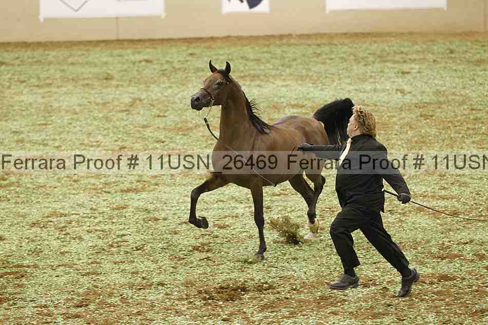 Proof 11usn_26469