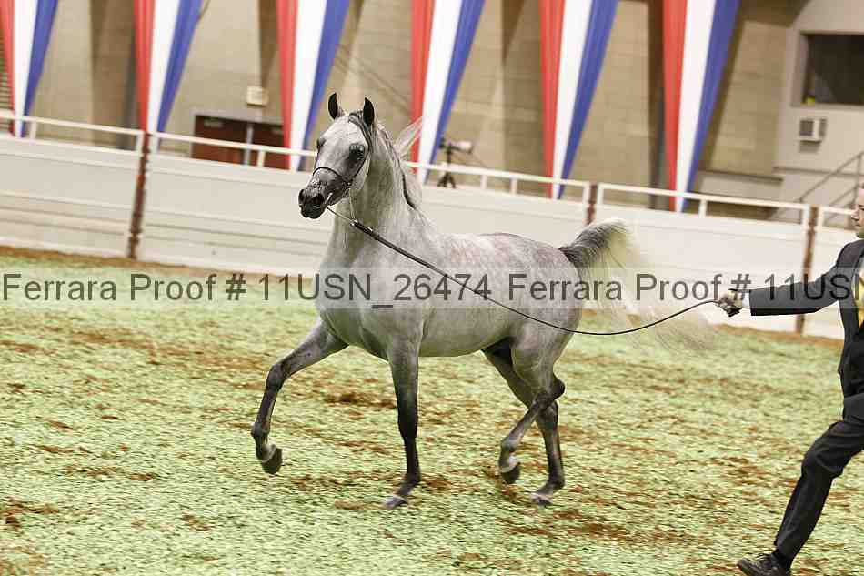 Proof 11usn_26474