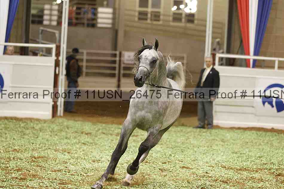 Proof 11usn_26475