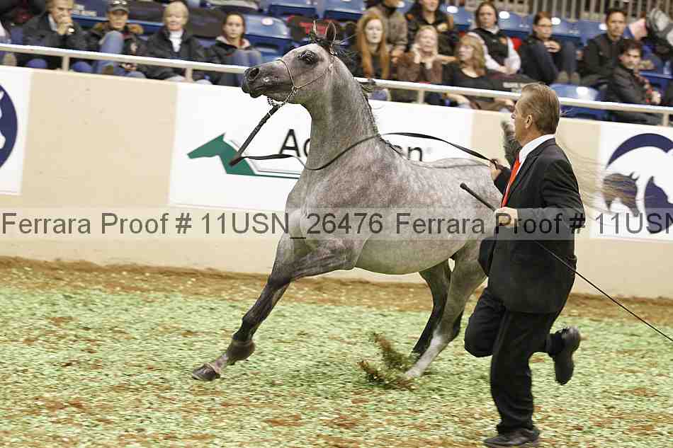 Proof 11usn_26476