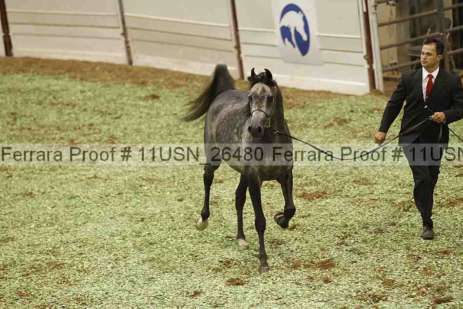 Proof 11usn_26480