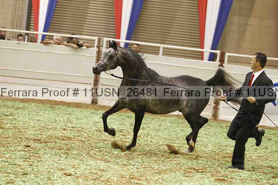 Proof 11usn_26481