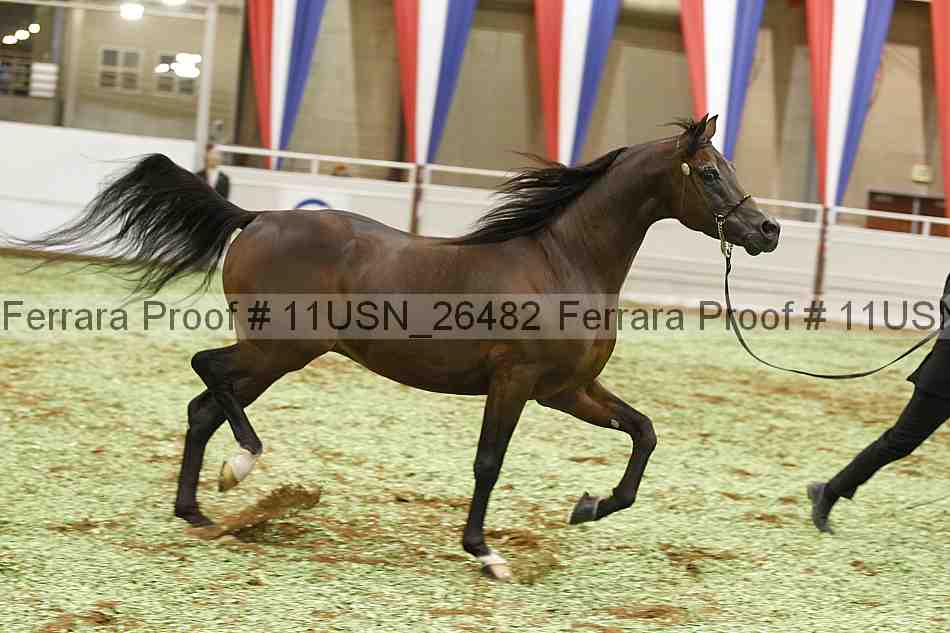 Proof 11usn_26482