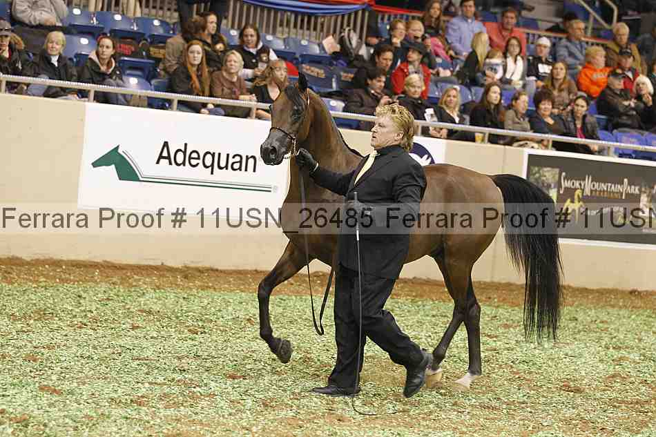 Proof 11usn_26485