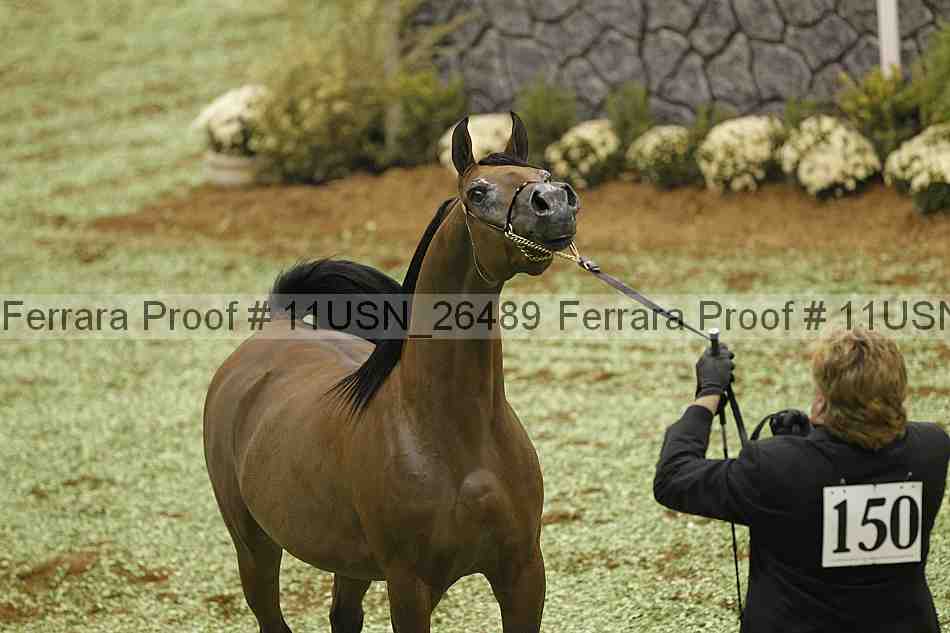 Proof 11usn_26489
