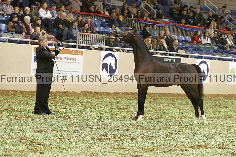 Proof 11usn_26494