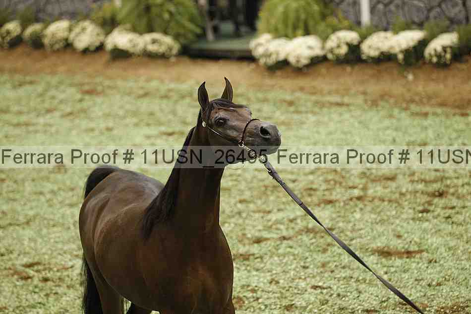 Proof 11usn_26495