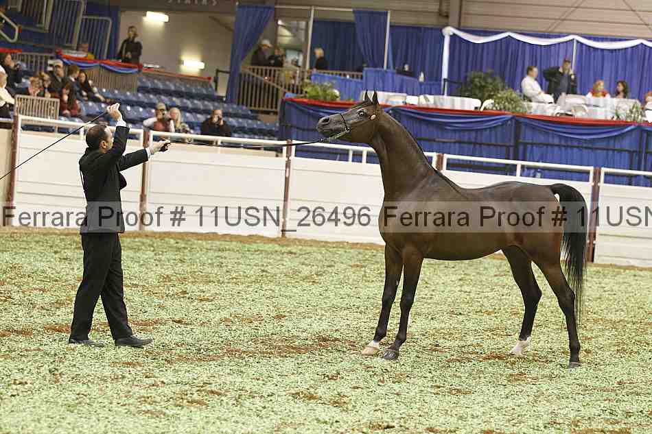 Proof 11usn_26496