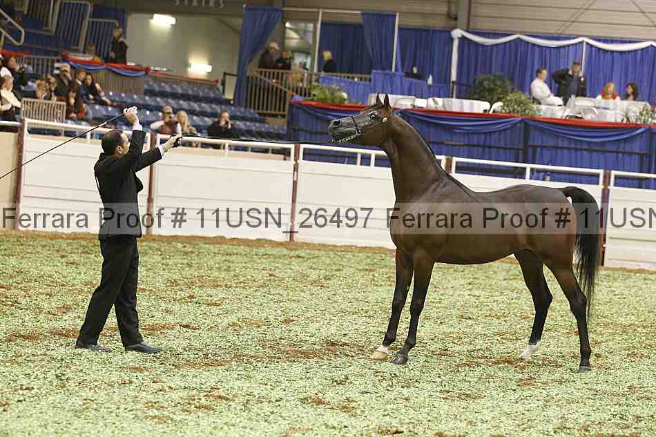 Proof 11usn_26497