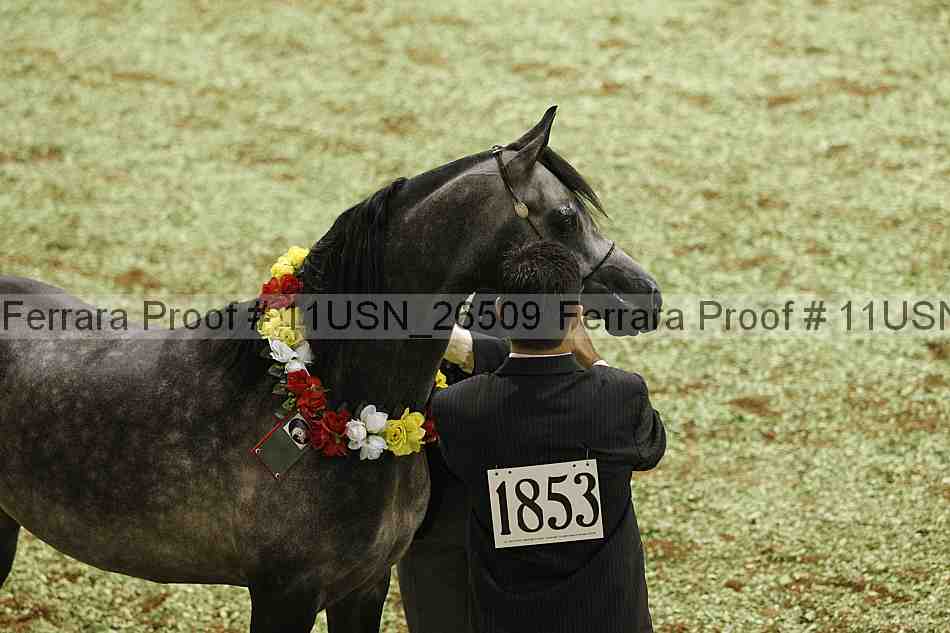 Proof 11usn_26509