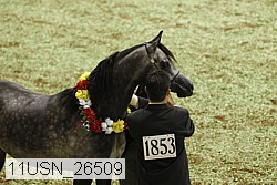 11usn_26509 proof