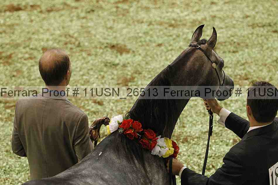 Proof 11usn_26513