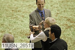 11usn_26519 proof