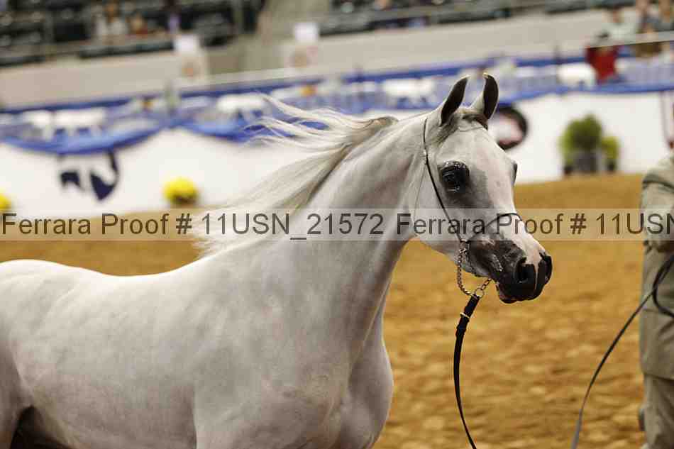 Proof 11usn_21572