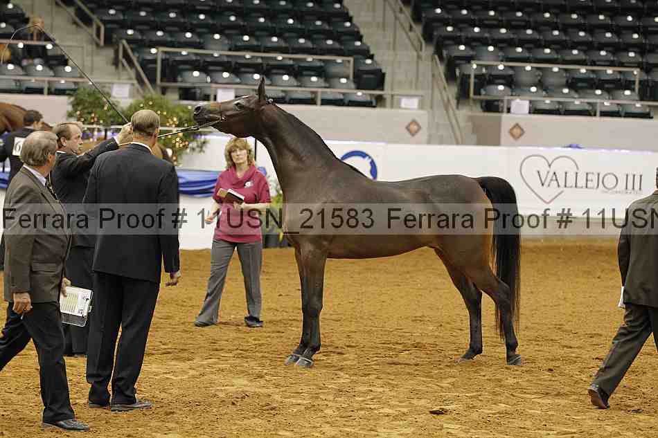 Proof 11usn_21583