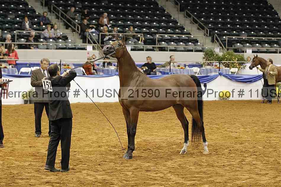 Proof 11usn_21590