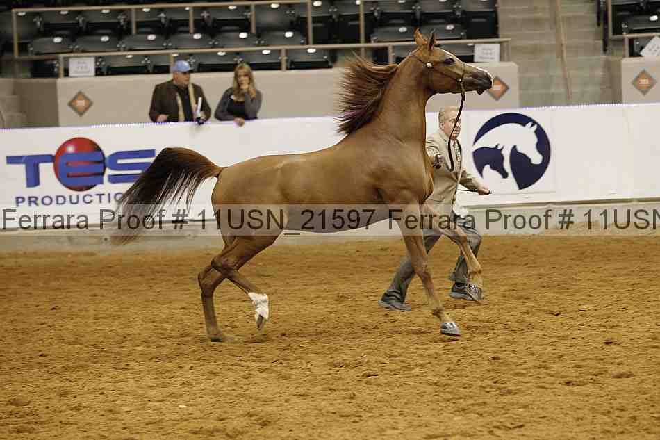 Proof 11usn_21597