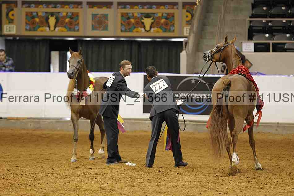 Proof 11usn_21566