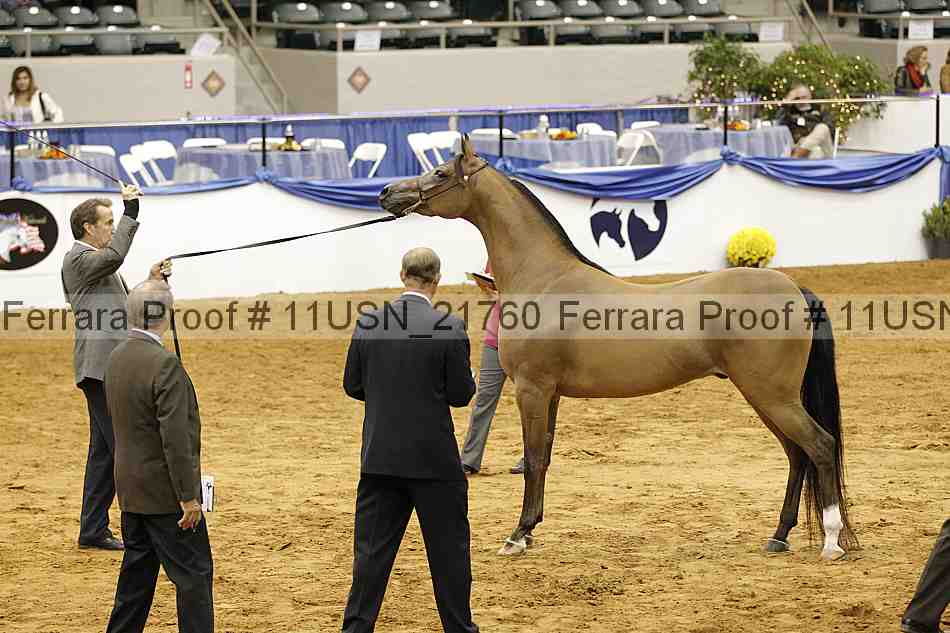 Proof 11usn_21760