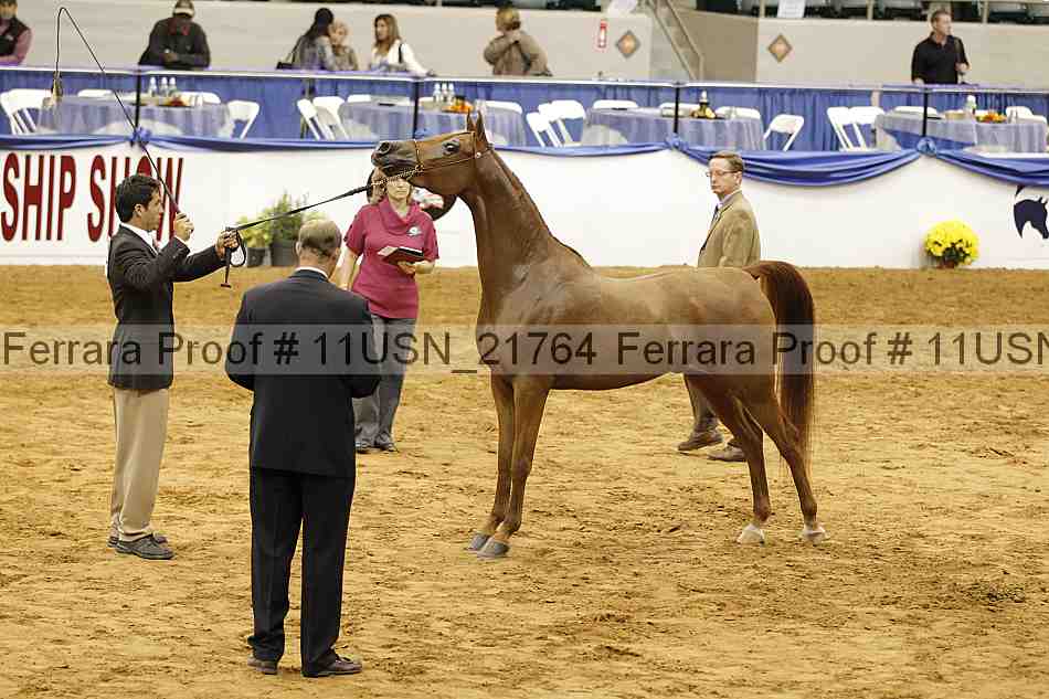 Proof 11usn_21764