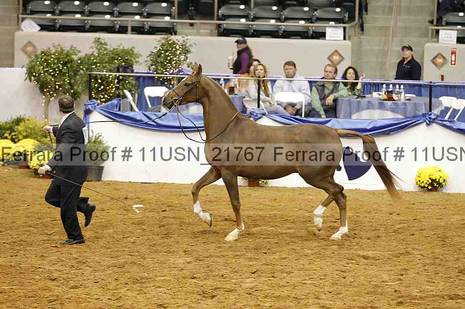 Proof 11usn_21767