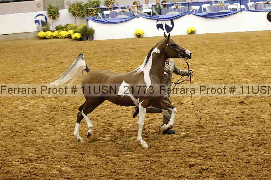 Proof 11usn_21773