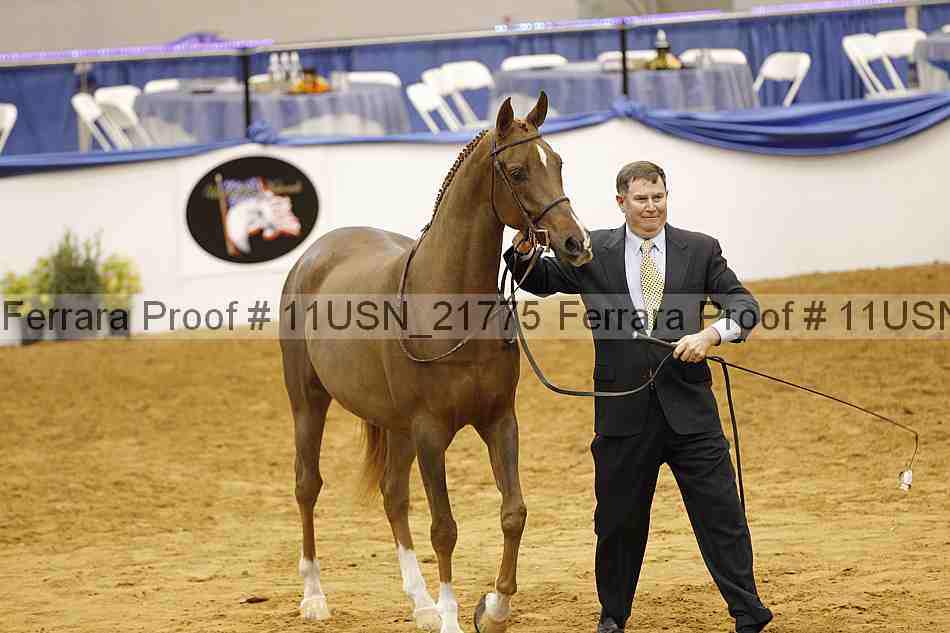 Proof 11usn_21775