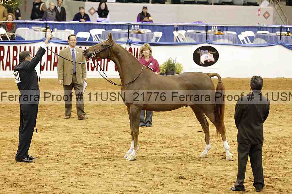 Proof 11usn_21776