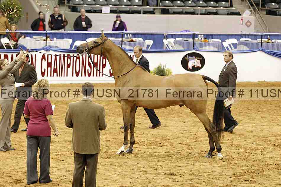 Proof 11usn_21781