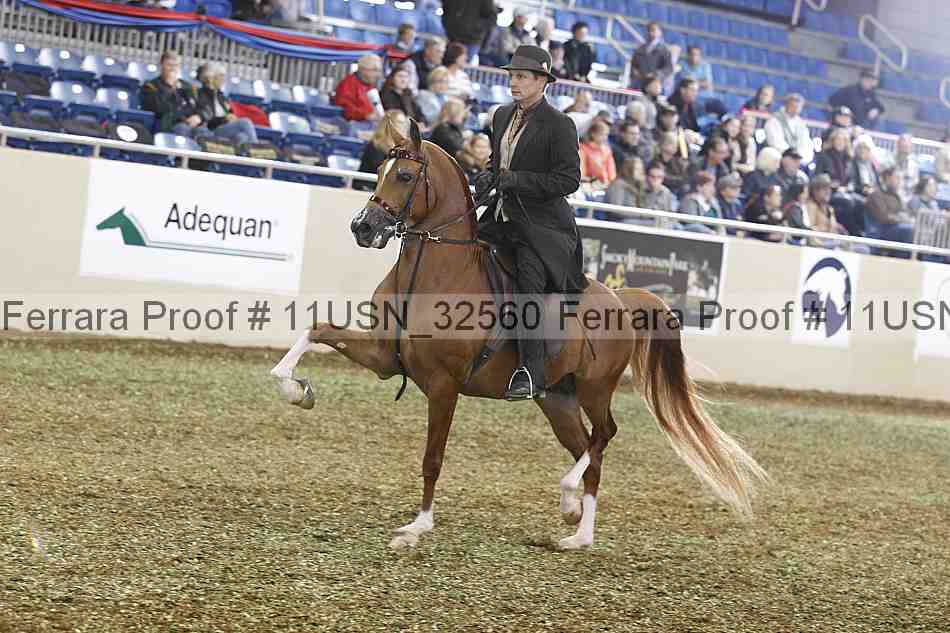 Proof 11usn_32560