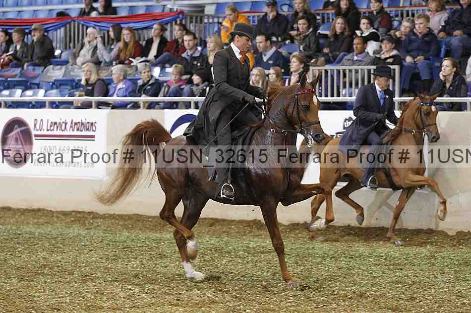 Proof 11usn_32615