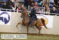11usn_32640 proof