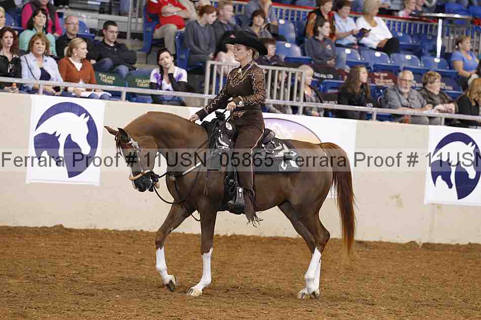 Proof 11usn_05865