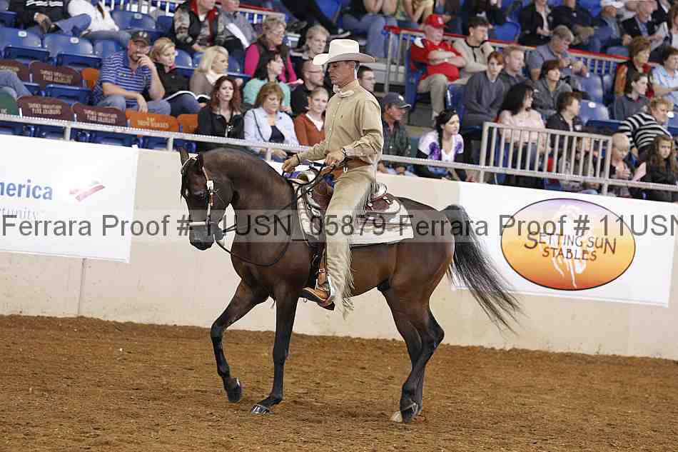 Proof 11usn_05879