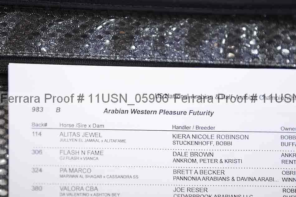 Proof 11usn_05906