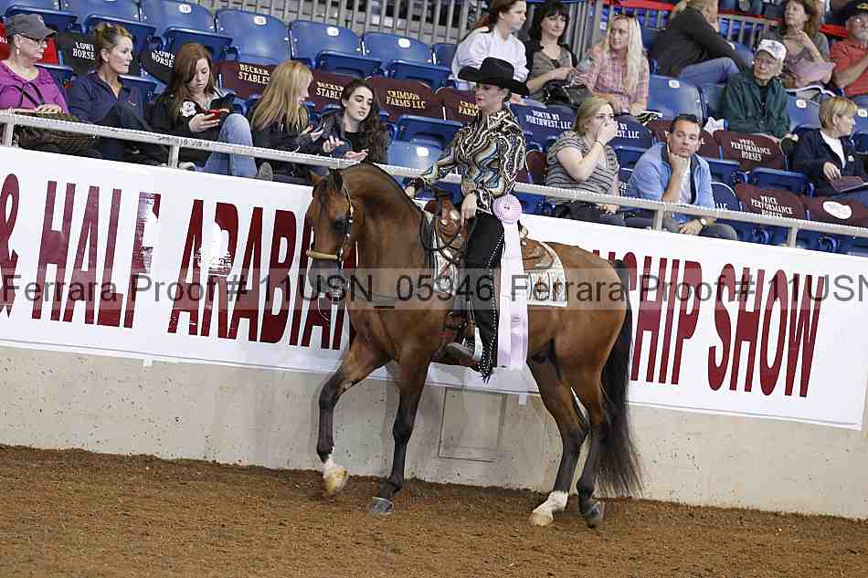 Proof 11usn_05946