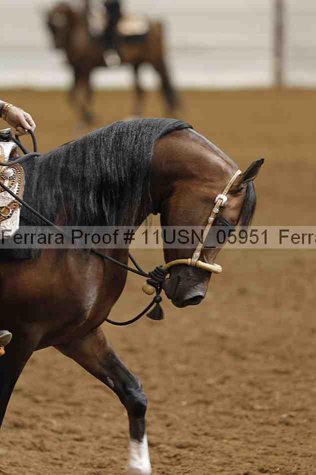 Proof 11usn_05951