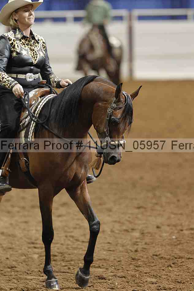 Proof 11usn_05957
