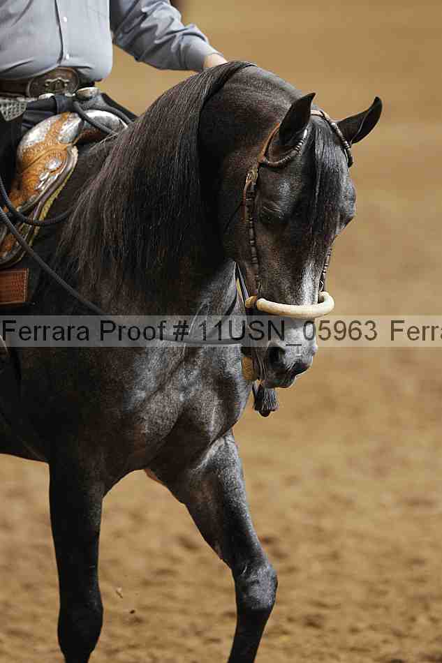 Proof 11usn_05963