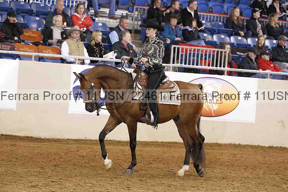 Proof 11usn_22461