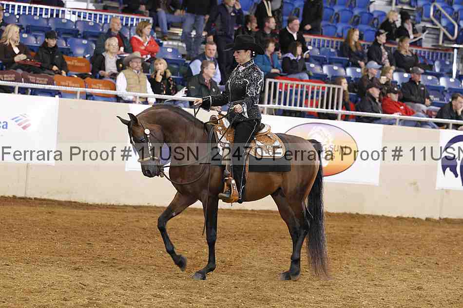 Proof 11usn_22470
