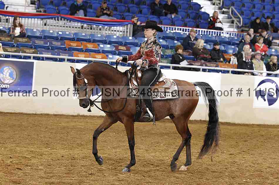 Proof 11usn_22480