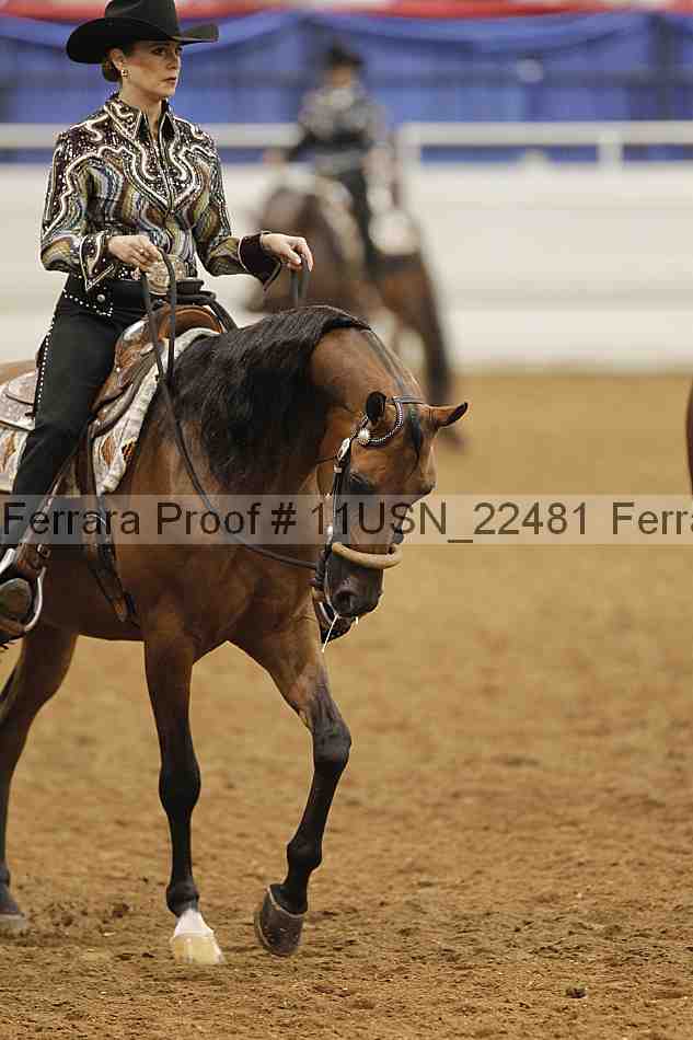 Proof 11usn_22481