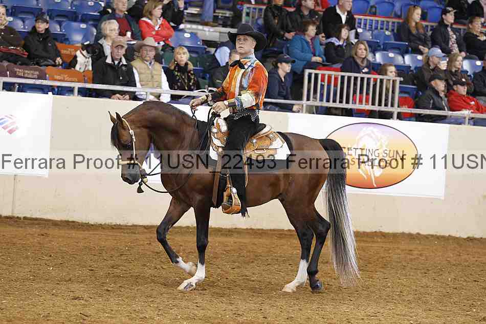 Proof 11usn_22493