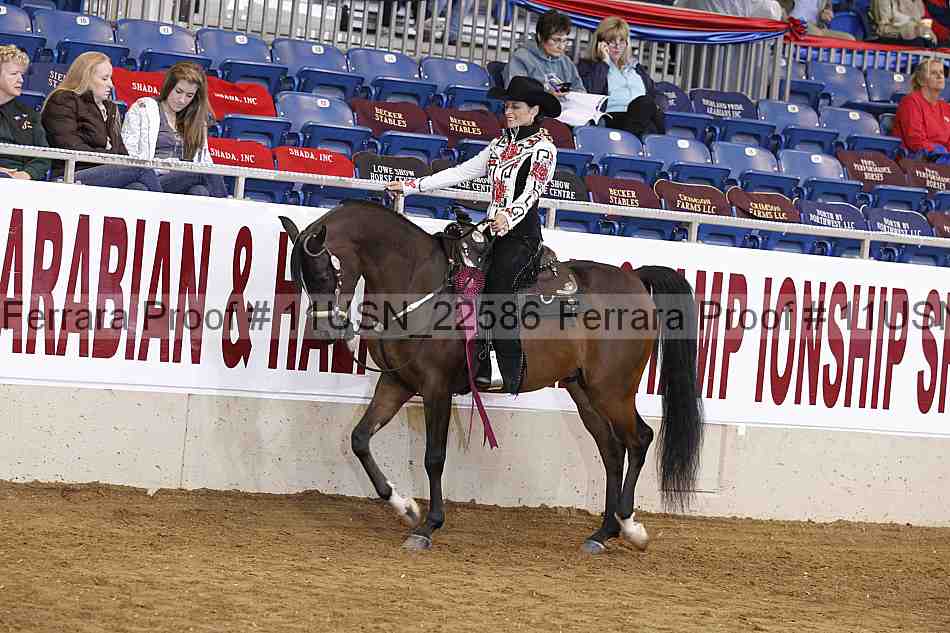 Proof 11usn_22586