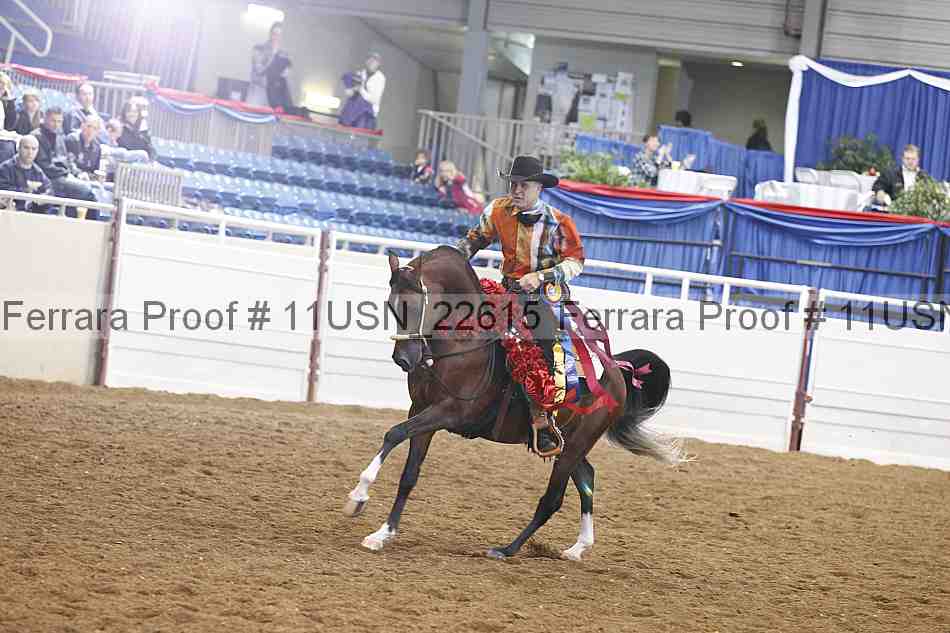 Proof 11usn_22615